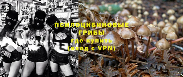 МДПВ Белокуриха